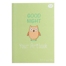 Купить Блокнот Profiplan Artbook 902347 Сова А5 64 цветных листа Дом, сад, огород