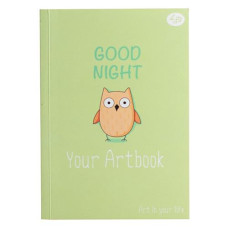 Купить Блокнот Profiplan Artbook 902422 Сова А6 64 цветных листа Дом, сад, огород