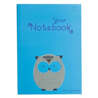 Блокнот Profiplan Artbook 50285 В6 64 цветных листа голубой