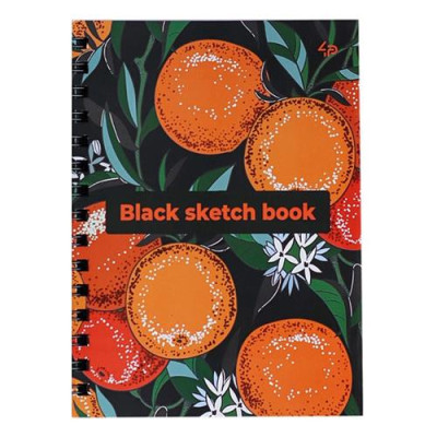Купить Блокнот Profiplan Artbook Black sketch book 901449 А5 80 листов на пружине черный Дом, сад, огород