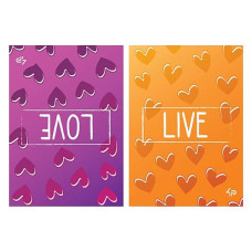 Купить Блокнот Profiplan Artbook Two in one Dream/Go 903290 А5 48 листов желтые и розовые Дом, сад, огород