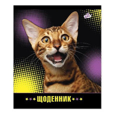 Дневник Magika УВ-10 мягкая обложка 42 листа 9 дизайнов