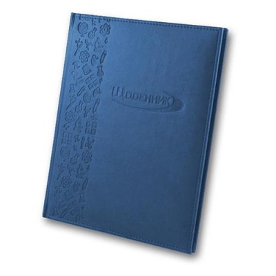 Купить Дневник Magika Winner УВ-1 твердая обложка 48 листов голубой Дом, сад, огород
