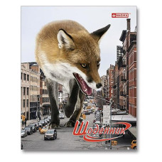 Дневник Magika УВ-26 Лисиця в місті №7201-6 мягкая обложка 42 листа
