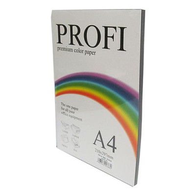 Купить Бумага офисная цветная Profi Intense Black 401 А4 80г/м2 100 листов насыщенная черная Дом, сад, огород
