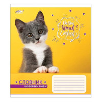 Словарь для иностранных слов Gold Brisk ТСВ-10 мягкая обложка 40 листов