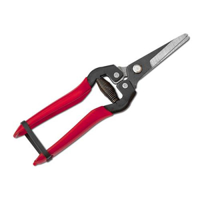 Секатор садовый BRADAS DEMKTKT-RG12 Купить Секатор садовый Bradas DEMKTKT-RG12 Дом, сад, огород
