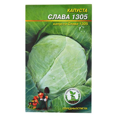 Семена капусты Слава 1305 1гр Купить Семена капусты Слава 1305 1гр Дом, сад, огород