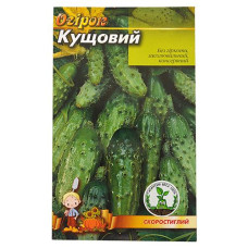 Купить Семена огурцов Кустовой евро пакет 1гр 20шт Дом, сад, огород