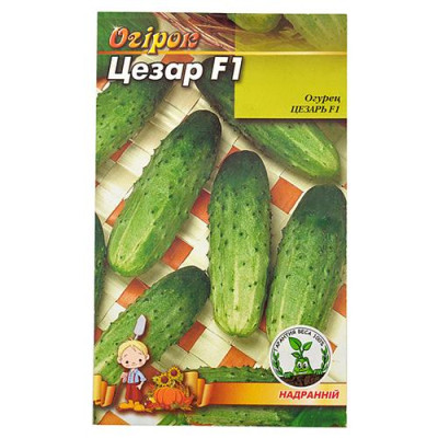 Семена огурец евро пакет Цезарь F1 1гр Купить Семена огурцов Цезарь F1 евро пакет 1гр Дом, сад, огород