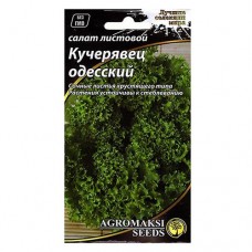 Купить Семена салата Агромакси Кучерявец одесский 10г Дом, сад, огород