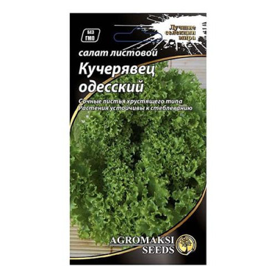 Семена Салат АГРОМАКСИ полукочанный Кучерявец одесский 1г Купить Семена салата полукочанный Агромакси Кучерявец одесский 1г Дом, сад, огород