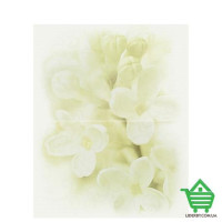 Кафель декор Cersanit Adrea, 50х40, цветок, 2 шт.