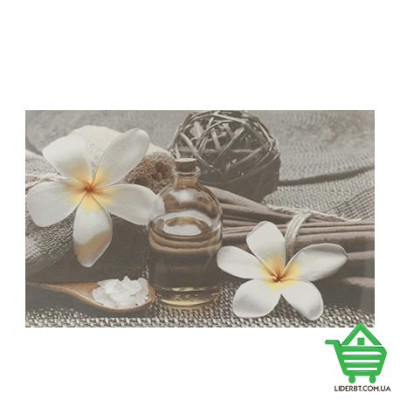 Купить Кафель декор Cersanit Olivia, 25х40, spa 2, серый, шт. Отделочные материалы