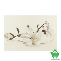 Кафель декор Opoczno Flora, 30х45, магнолия, шт.
