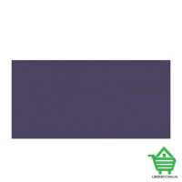 Кафель для стен Opoczno Chinese Asters, 29.7х60, violet satin, кв.м.