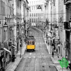 Флизелиновые фотообои Wizard & Genius 8-971 Улицы Лиссабона, 366х254 см
