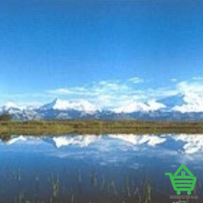 Фотообои Komar 4-070 Alaska, 388х135 см Купить Фотообои Komar 4-070 Alaska, 388х135 см Отделочные материалы
