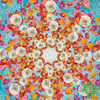 Фотообои Komar 4-969 Happiness, 184х254 см
