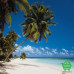 Фотообои Komar 8-240 Maldives, 388х270 см Купить Фотообои Komar 8-240 Maldives, 388х270 см Отделочные материалы