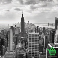 Фотообои Komar 8-323 NYC Black&White, 368х254 см