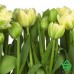 Купить Фотообои Komar 8-900 Tulips, 368х254 см Отделочные материалы