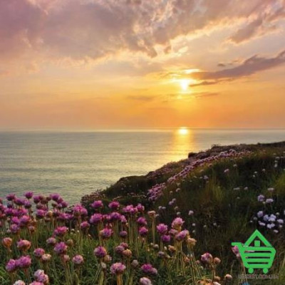 Купить Фотообои Komar 8-901 Lands End, 368х254 см Отделочные материалы