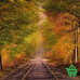 Купить Фотообои Komar 8-903 Indian Summer, 368х254 см Отделочные материалы