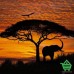 Купить Фотообои Komar National Geographic 4-501 African Sunset, 194х270 см Отделочные материалы