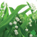 Купить Фотообои Komar National Geographic 8-517 Lilies Of The Valley, 368х254 см Отделочные материалы