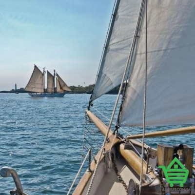 Фотообои Komar National Geographic 8-526 Sailing, 368х254 см Купить Фотообои Komar National Geographic 8-526 Sailing, 368х254 см Отделочные материалы