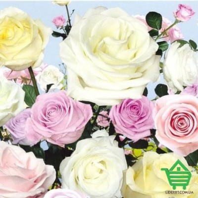 Купить Фотообои Prestige №15 Розы, 294х272 см Отделочные материалы