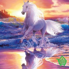 Фотообои Wizard & Genius 4 00409 Free Spirit, 183х254 см