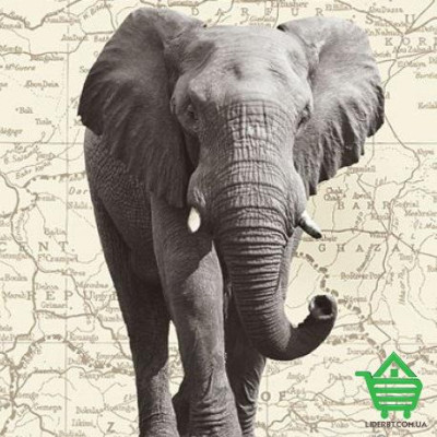 Купить Фотообои Wizard & Genius 4 00431 Wild Safari, 183х254 см Отделочные материалы
