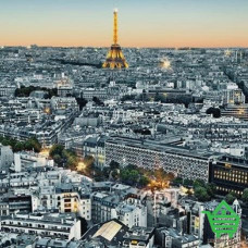 Купить Фотообои Wizard & Genius 4 00434 Paris Aerial View, 183х254 см Отделочные материалы