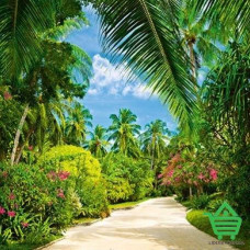 Купить Фотообои Wizard & Genius 4 00438 Tropical Pathway, 183х254 см Отделочные материалы