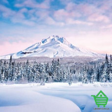 Фотообои Wizard & Genius 8 00124 Graceful Mountain, 366х254 см