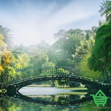 Фотообои Wizard & Genius 8 00132 Bridge In The Sunlight, 366х254 см