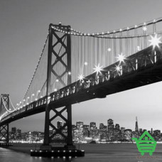 Фотообои Wizard & Genius 8 00134 San Fransisco Skyline, 366х254 см