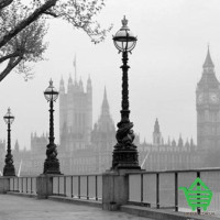 Фотообои Wizard & Genius 8 00142 London Fog, 366х254 см