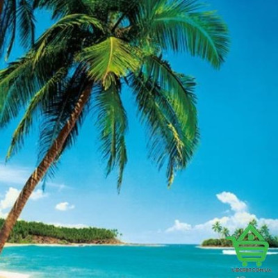 Фотообои Wizard & Genius 8 00241 Ile Tropicale, 366х254 см Купить Фотообои Wizard & Genius 8 00241 Ile Tropicale, 366х254 см Отделочные материалы