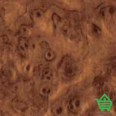 Самоклеющаяся пленка Gekkofix 11149, 0,9x15 м, рул. Купить Самоклеющаяся пленка Gekkofix 11149, 0,9x15 м, рул. Отделочные материалы