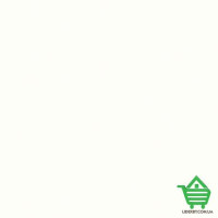 Виниловые обои Sirpi Rhinoceros 20377, 0,7x10,05, 1 рул.