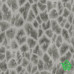 Купить Виниловые обои Zambaiti DC Selvaggia 88709, 0,53x10,00, 1 рул. Отделочные материалы